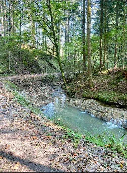 Casa Pur, 85m2 Mit Garten Sauna Apartment Fischbachau